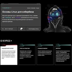Евгений Ивченков, Алексей Гришин Linux Cyberpunk. Тариф Black 2024