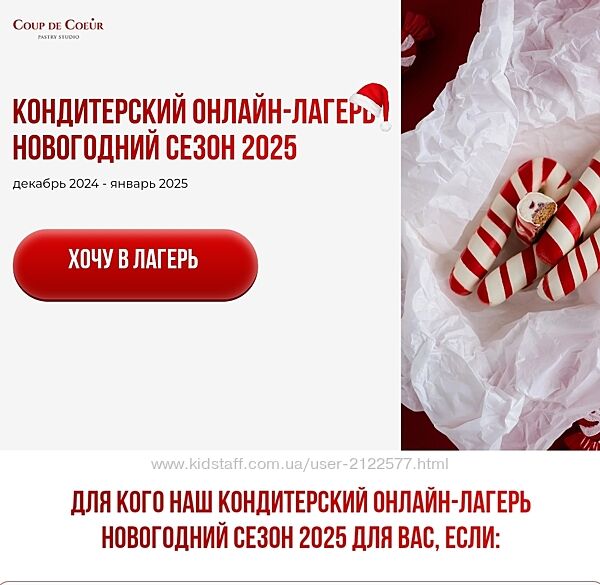 Елена Скрыган Кондитерский онлайн-лагерь. Новогодний сезон 2025