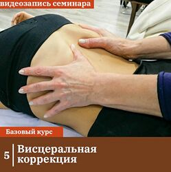 Висцеральная коррекция Антон Циванюк, Михаил Белюк 2024