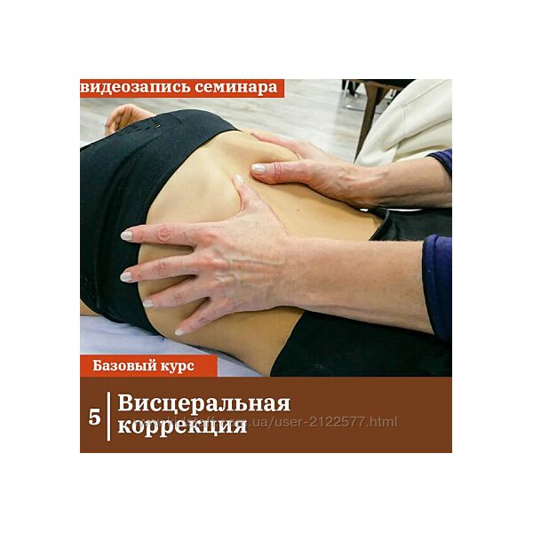 Висцеральная коррекция Антон Циванюк, Михаил Белюк 2024