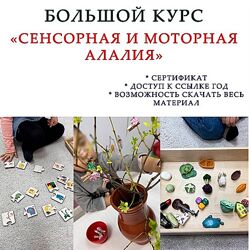 Ангелина Сыщенко Сенсорная и моторная алалия 