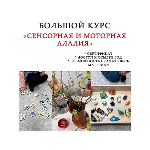 Ангелина Сыщенко Сенсорная и моторная алалия