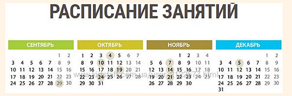 Саморегуляция 3.0 Вячеслав Смирнов, Елена Смирнова