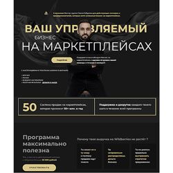 Павел Сабуров Миллион на Wildberries. Система продаж на маркетплейсах