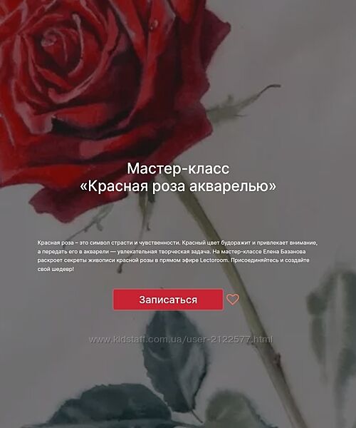 Елена Базанова Красная роза акварелью lectoroom 2025