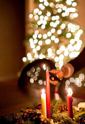 Галина Корноухова набор Курсов