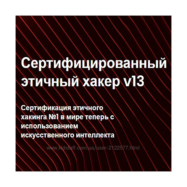 EC-Council CEH v13 Этичный хакинг и тестирование на проникновение Часть1-5