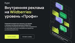 Антон Ланцов Павел Михайлоа Внутренняя реклама на Wildberries уровень Профи