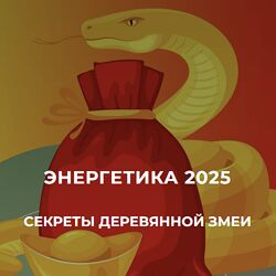 Дмитрий Лаптев Энергетика 2025 секреты деревянной змеи. Пакет Платинум
