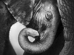 Интегральный подход психологической работы с травмой развития Раздел 1 - 9