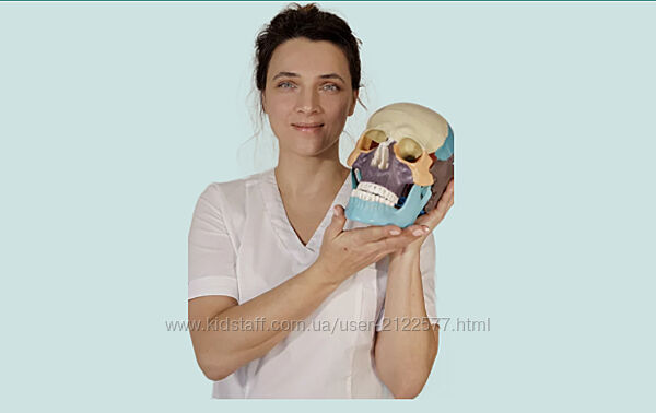 Татьяна Курчина Черепэстет 2025