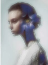 Эдуард Копысов Персональная профессиональная фотография 2024