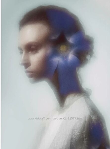 Эдуард Копысов Персональная профессиональная фотография 2024