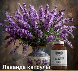 Лаванда в капсулах